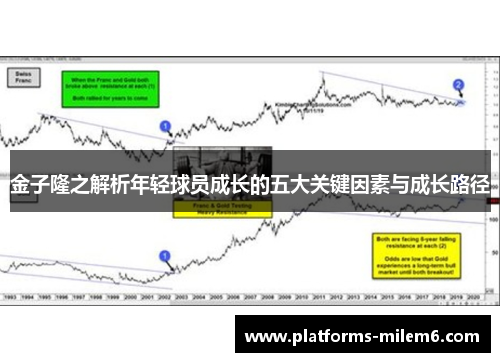 金子隆之解析年轻球员成长的五大关键因素与成长路径